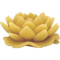 Lotus Bienenwachs Kerze von Goldenbeecandlestore