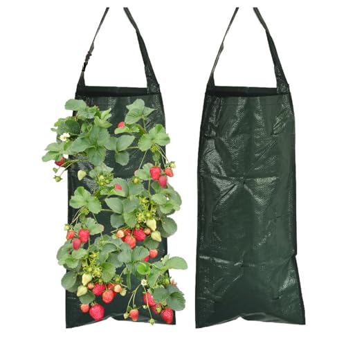 Goldyida 2 Stück Hängend Erdbeeren Pflanztaschen Erdbeere Pflanzsack mit 8 Löchern Pflanzsack Atmungsaktiv Hängend Vertikal Pflanzsack Pflanztasche 25 * 60cm Pflanzbeutel Für Pflanzen/Kräuter/Blumen von Goldyida