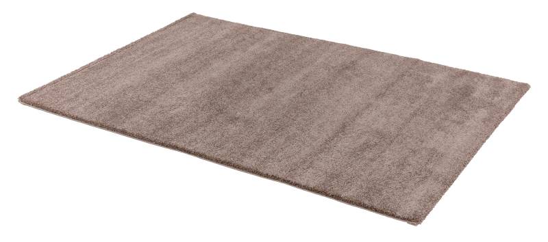 Golze & Söhne Teppiche Savona ca. 80x150cm in Farbe haselnuss Golze & Söhne Teppiche Savona ca. 80x150cm in Farbe haselnuss von Golze & Söhne