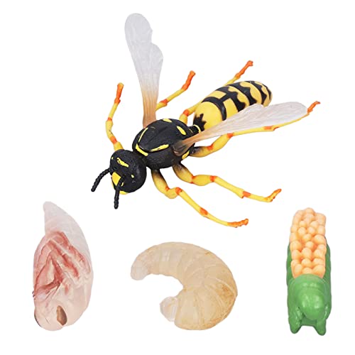 Gonetre Wespe Bienenwachstumszyklusmodell Simulation Lebendige Lebensekte Insekten Tierfiguren Bildungsspielzeug für Wohnheimdekoration Premium Plastik Gonetre Wespe Bienenwachstumszyklusmodell Simulation Lebendige Lebensekte Insekten Tierfiguren Bildungsspielzeug für Wohnheimdekoration Premium Plastik von Gonetre