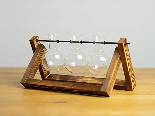 Good Connections Stylische Deko-Blumenvase "Rundkolben" - geflämmter Holzrahmen mit drei mundgeblasenen, kristallklaren Glaskolben von Good Connections