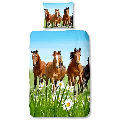 GOOD MORNING Bettwäsche Horses mehrfarbig 140 x 200/220 cm + 60 x 70 cm von GOOD MORNING