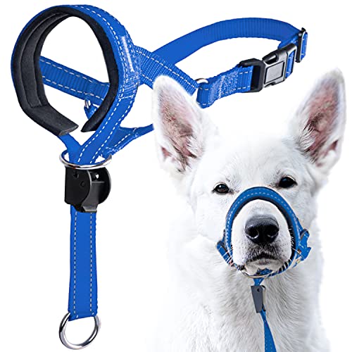 GoodBoy Hundehalfter mit Sicherheitsgurt, verhindert starkes Ziehen an der Leine, gepolstertes Halfter für kleine, mittelgroße und große Hunde, inklusive Halfter (Größe 1, blaues Nylon) von GoodBoy