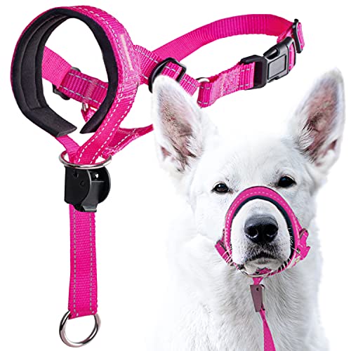 GoodBoy Halfter für Hunde, Nylon, Rosa, 2 Stück von GoodBoy