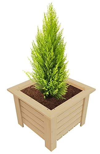 GoodFreshDecor Blumentopf Aus Holz Pflanzentopf Pflanzkasten Natürliche Holzkiste Blumenkasten Kräuterbeet Pflanzkübel Echtholz Innen Außen 40 x 40 x 30 cm GoodFreshDecor Blumentopf Aus Holz Pflanzentopf Pflanzkasten Natürliche Holzkiste Blumenkasten Kräuterbeet Pflanzkübel Echtholz Innen Außen 40 x 40 x 30 cm von GoodFreshDecor