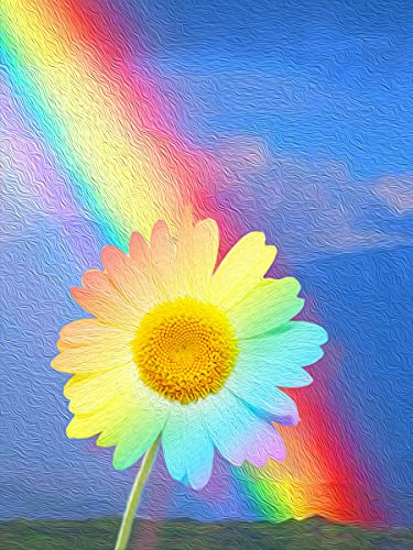 Goofong 5D Diamond Painting Landschaft,DIY Diamond Painting Regenbogenblume, Full Runde Diamant Painting Bilder Strass Stickerei Home Decor 30x40cm von Goofong