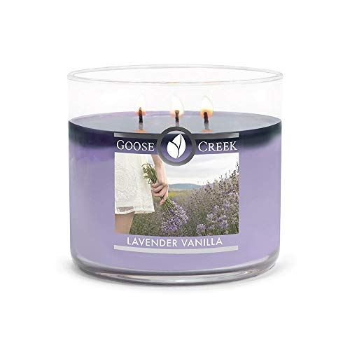 Goose Creek Candle® Lavender Vanilla 3-Docht-Kerze 411g von Goose Creek