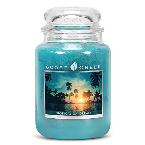 GOOSE CREEK Duftkerze im Glas Tropical Daydream 680 g von Goose Creek