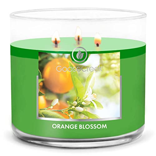 Goose Creek Candle® Orange Blossom 3-Docht-Kerze 411g von Goose Creek