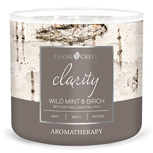 Goose Creek Candle® Wild Mint & Birch - Clarity 3-Docht-Kerze 411g von Goose Creek