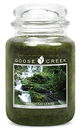 Goose Creek Große 24 oz Kerzen im Glas - Patchouli Leaves von Goose Creek