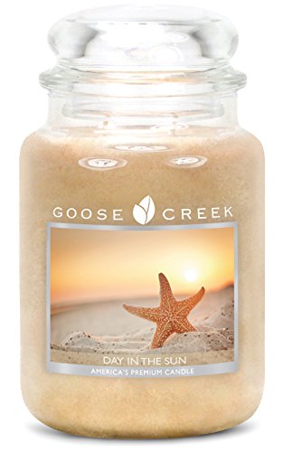 Goose Creek Tag in der Sonne Kerze Jar, cremefarben, 24 oz von Goose Creek