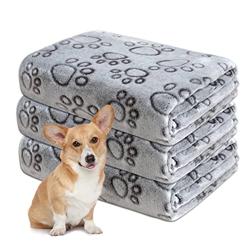Gorgelly 1 Pack 3 Hundedecke, Weiche Haustierdecke Waschbar, Kuscheldecke Flauschig für Kleine Mittlere Hunde Katzen, Sofaschoner für Hunde, Hundedecke für Unterwegs, 80x60 cm von Gorgelly