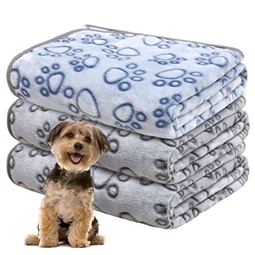 Gorgelly 1 Pack 3 Hundedecke, Weiche Haustierdecke Waschbar, Kuscheldecke Flauschig für Kleine Mittlere Hunde Katzen, Sofaschoner für Hunde, Hundedecke für Unterwegs, 60x50 cm von Gorgelly