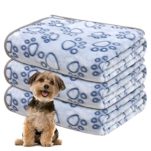Gorgelly 1 Pack 3 Hundedecke, Weiche Haustierdecke Waschbar, Kuscheldecke Flauschig für Kleine Mittlere Hunde Katzen, Sofaschoner für Hunde, Hundedecke für Unterwegs, 60x50 cm von Gorgelly
