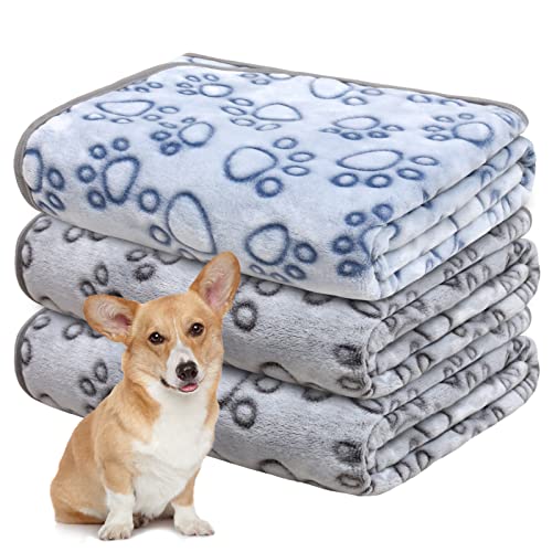 Gorgelly 1 Pack 3 Hundedecke, Weiche Haustierdecke Waschbar, Kuscheldecke Flauschig für Kleine Mittlere Hunde Katzen, Sofaschoner für Hunde, Hundedecke für Unterwegs, 80x60 cm von Gorgelly