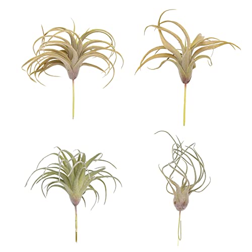Gosera 4Pack KüNstliche Ananas Gras Luft Pflanzen GefäLschte Blumen Faux Flocking Tillandsia Bromelien Hausgarten von Gosera