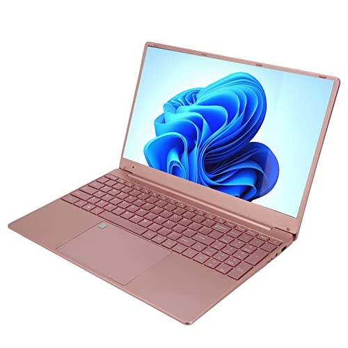 Goshyda 15,6-Zoll-Laptop, 2K-IPS-Bildschirm, 12 GB RAM, 256 GB SSD, Quad-Core-Prozessor, WiFi BT USB, Fingerabdruck-Nummerntastatur, Hintergrundbeleuchtung, für Windows 10 (12+256G von Goshyda