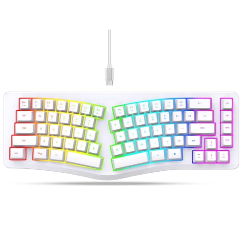 Goshyda Wired Ergonomische Tastatur, 69 Tasten Silent Split -Tastatur mit 18 Modi RGB -Hintergrundbeleuchtung, Abnehmbares USB -C -Kabel für Siege für OSX für Linux -Computer (White) von Goshyda