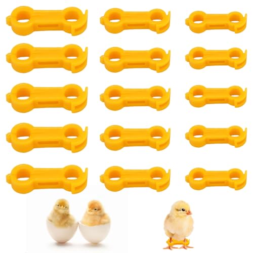 15 Stücke Hähnchenschenkel Ringe, Hähnchenschenkel Ring Clip Nummeriert Geflügel Fußringe Hähnchenfüßbänder Hühnerfuß Tags für Neugeborene Küken Wachteln Enten Vögel (Gelb) von Gosknor