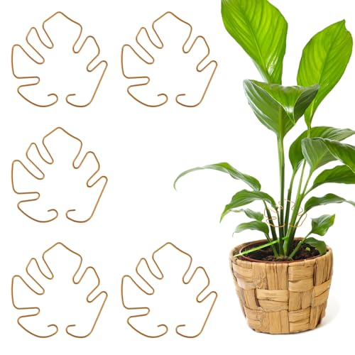 Gosknor 5stk Monstera-Pflanzenstützen, Pflanzenstammstützen Monstera-Förmige Pflanzenstützen Monstera-Stabilisator Greiferhalter Pflanzenstammhalter-Stütze Pflanzenstützpfähle für Zimmerpflanzen von Gosknor