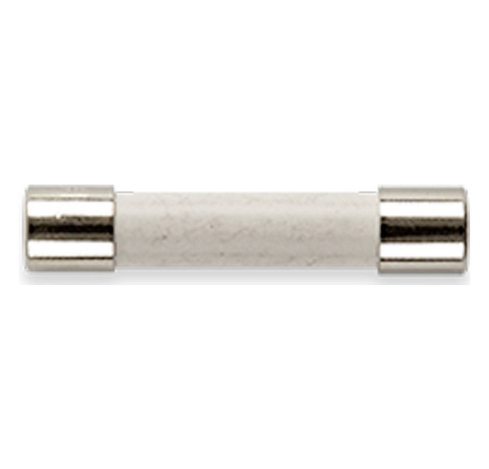 Gossen Metrawatt Spannungsprüfer Gossen Metrawatt Z109P FF 0,315 A/1000 V Sicherung 10 St., (FF 0,315 A/1000 V) von Gossen Metrawatt