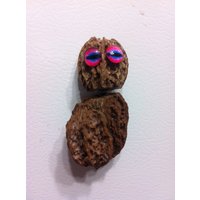Bobble-Kopf Eule Magnet Wackeln Für Ihren Kühlschrank von GotMorels