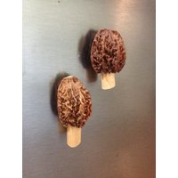 Morel Magnete, Kühlschrankmagnete, Pilze von GotMorels