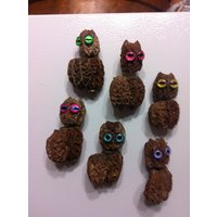 Wackelkopf Eule Magnete, Wahl Farbe Designer Augen Wackeln & Wackeln von GotMorels