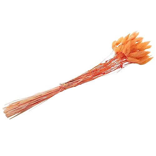 Goufride 60 StüCk Getrocknete Herbstblumen, HäSchenschwäNze, Getrocknete Blumen, Lagurus, Ovatus, Kaninchenschwanz, Gras für Getrocknete Blumen (Orange) von Goufride