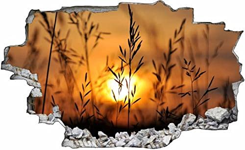 Gougeltd 3D Wandtattoo Mauerloch Wandsticker Wandaufkleber Durchbruch Sonnenaufgang Wiese Natur selbstklebend Schlafzimmer Wohnzimmer Wanddeko fürs Kinderzimmer 65x98cm von Gougeltd