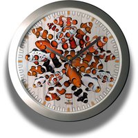 Clownfisch-Anemonefish Muster Mutationen & Rassen Silber Wanduhr Mit Modernem Design von GouldianFinch