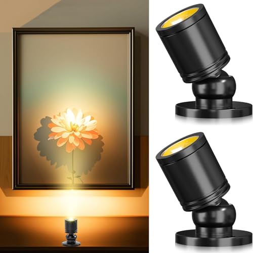 Klein LED Scheinwerfer LED Spotlichter für den Innenbereich Schranklicht Bilderlichter Akzentlichter 360° Schwenkbar Aluminium Mini led spot für Schrank, Flur, Galerien (2 Stück-Warmweiß-Schwarz) von Gouzloyed