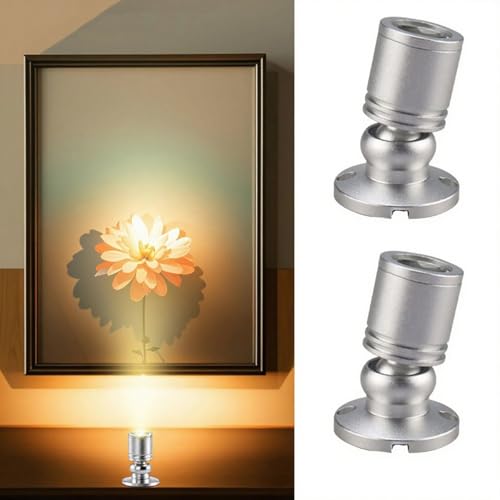 Klein LED Scheinwerfer LED Spotlichter für den Innenbereich Schranklicht Bilderlichter Akzentlichter 360° Schwenkbar Aluminium Mini led spot für Schrank, Flur, Galerien (2 Stück-Warmweiß-Silber) von Gouzloyed