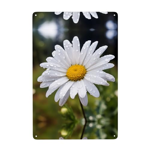 Gpkgsigt Weißes Gänseblümchen-Druckblech, dekoratives Gemälde, 20,3 x 30,5 cm, aus Weißblech, verschleißfest und langlebig Gpkgsigt Weißes Gänseblümchen-Druckblech, dekoratives Gemälde, 20,3 x 30,5 cm, aus Weißblech, verschleißfest und langlebig von Gpkgsigt
