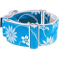 Blaue Martingale Kragen, Windhund 2 Zoll, Hundehalsbänder, Hundehalsband, Blau von GraceEmilyShop