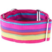 Martingale Halsband, 2Inch, Windhundhalsband, Martingale, Hundehalsband Martingale Halsband, 2Inch, Windhundhalsband, Martingale, Hundehalsband von GraceEmilyShop