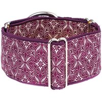 Brokat Martingale Hundehalsband 5 cm Windhund Halsband von GraceEmilyShop