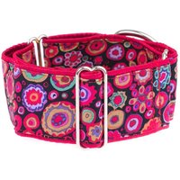 Rotes Martingale Halsband, Hundehalsband, Windhundhalsband, 2 Zoll, Halsband, Schwarz, Rot von GraceEmilyShop