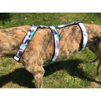 Windhundgeschirr, Galgo, Hundegeschirr von GraceEmilyShop