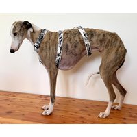 Windhundgeschirr, Galgo, Hundegeschirr von GraceEmilyShop