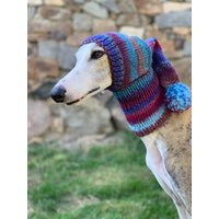 Woll Windhund Snood Bunter Strickhund Hundemütze Woll Windhund Snood Bunter Strickhund Hundemütze von GraceEmilyShop