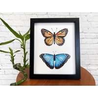 Schmetterling Kunstdruck - Monarch Blau Morpho Wand Wand-Dekor Schmetterlinge Home Kunst-Graceandgloriaco von GraceandGloriaCo