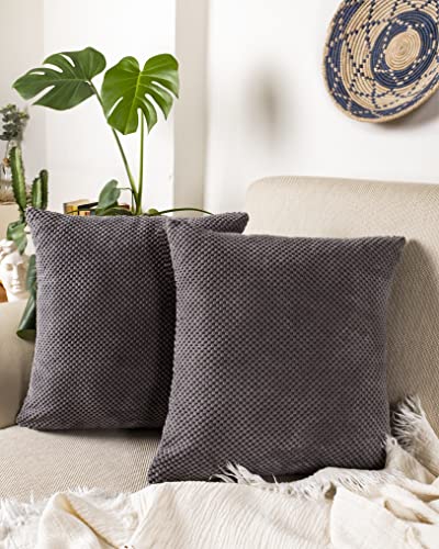 Gräfenstayn 2er-Set Cord-Samt Kissenbezug 40x40 cm - Öko TEX Standard 100 - weiche Deko-Kissenbezüge mit verdecktem Reißverschluss für Sofa und Bett (anthrazit - kleines Muster) von Gräfenstayn