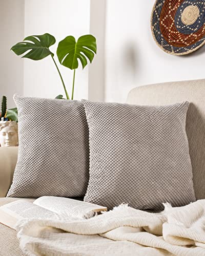 Gräfenstayn 2er-Set Cord-Samt Kissenbezug 40x40 cm - Öko TEX Standard 100 - weiche Deko-Kissenbezüge mit verdecktem Reißverschluss für Sofa und Bett (grau - kleines Muster) von Gräfenstayn