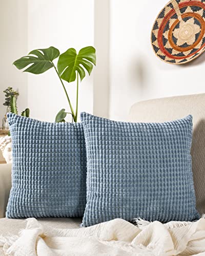 Gräfenstayn 2er-Set Cord-Samt Kissenbezug 40x40 cm - Öko TEX Standard 100 - weiche Deko-Kissenbezüge mit verdecktem Reißverschluss für Sofa und Bett (hellblau - großes Muster) von Gräfenstayn