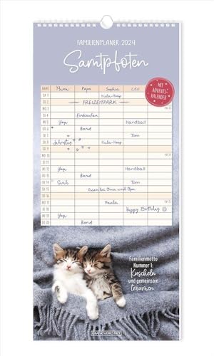 Familienplaner 2024 Samtpfoten: Familienplaner von Grafik-Werkstatt