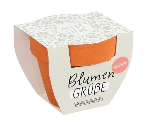 Grafik-Werkstatt Blumengrüße Sommerblumen-Mix | Mini-Terrakotta-Töpfchen mit Samen | Alles Liebe, Orange von Grafik-Werkstatt