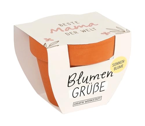 Grafik-Werkstatt Blumengrüße Sommerblumen-Mix | Mini-Terrakotta-Töpfchen mit Samen | Beste Mama der Welt, Orange von Grafik-Werkstatt