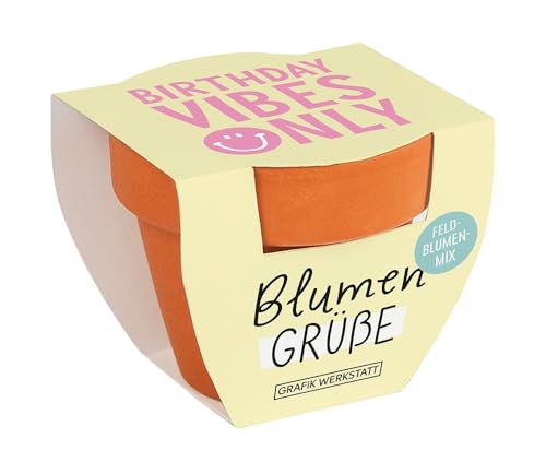Grafik-Werkstatt Blumengrüße Sommerblumen-Mix | Mini-Terrakotta-Töpfchen mit Samen | Birthday Vibes only, Orange von Grafik-Werkstatt